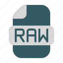 raw, file, data, filetype, fileformat, format, document, extension