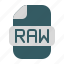 raw, file, data, filetype, fileformat, format, document, extension 