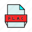 format, flac, file, document 