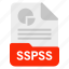 document, file, format, sspss 