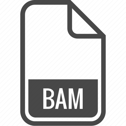 what is bam file format