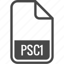 file, format, type, document, psc1 