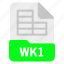 document, file, format, wk1 