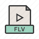 document, download, file, flv, format, movie, multimedia