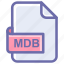database, file, file format, mdb 