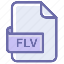 file, file format, flash, flv, video