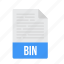bin, document, file, format 