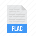 document, file, flac, format