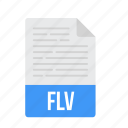 document, file, flv, format