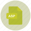 asp, extension, file, type