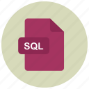 extension, file, sql, type