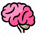 brain, organ, think, mind, genius, intelligence, smart