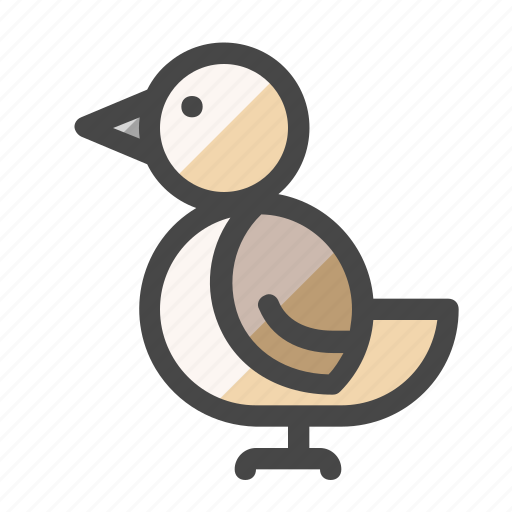 Animal, bird, environment, nature, organism icon - Download on Iconfinder