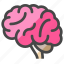 brain, organ, think, mind, genius, intelligence, smart 