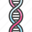 dna, deoxyribonucleic acid, molecule, genetic, medic, science, health 