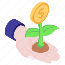 dollar plant, money plant, business development, investment, growing money 