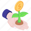 dollar plant, money plant, business development, investment, growing money 