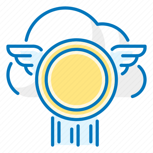 Costs, coin, cloud, wings icon - Download on Iconfinder