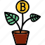 bitcoin plant, bitcoin, coin, cryptocurrency, plant, bitcoin pot 