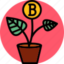 bitcoin plant, bitcoin, coin, cryptocurrency, plant, bitcoin pot