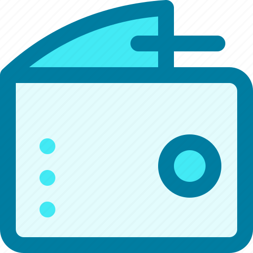 Bank, banking, cash, currency, dollar, money, wallet icon - Download on Iconfinder