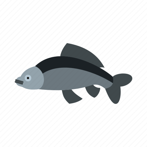 Animal, carp, ocean, sea, tropical, underwater, water icon - Download on Iconfinder