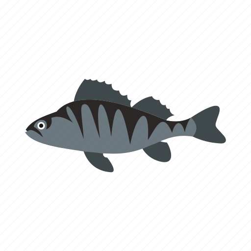 Animal, ocean, perch, sea, tropical, underwater, water icon - Download on Iconfinder