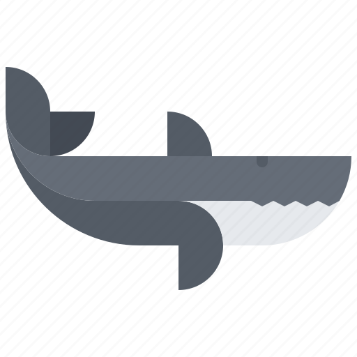 Shark, sea, ocean, nature icon - Download on Iconfinder