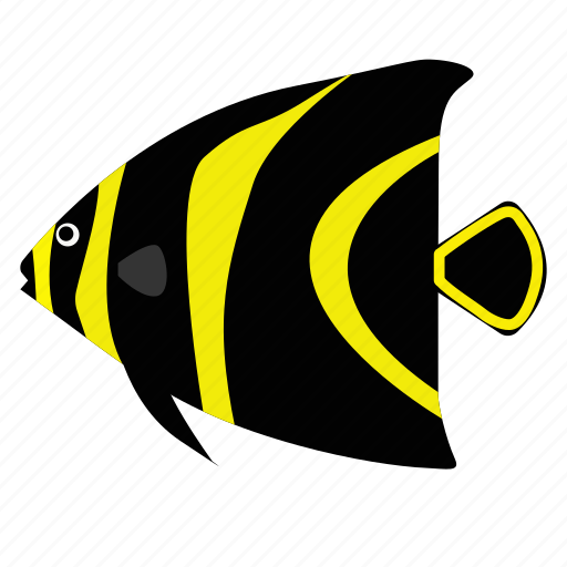 Angelfish, fish, french, pet icon - Download on Iconfinder