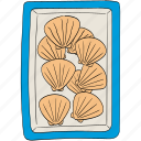 plastic container, seashells, scallops, seafood, shell, seafood market, fish market