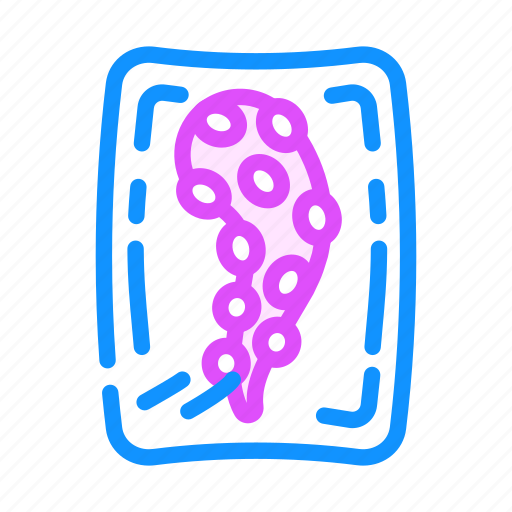 Octopus, tentacles, package, fish, market, product icon - Download on Iconfinder