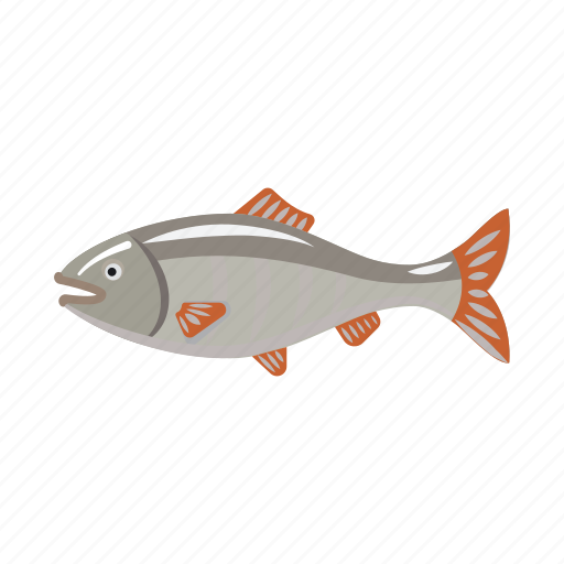 Accessory, attribute, equipment. fishing, fish, roach, tackle icon - Download on Iconfinder