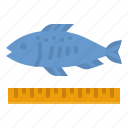 fish, size, ruler, dimensions, measurement