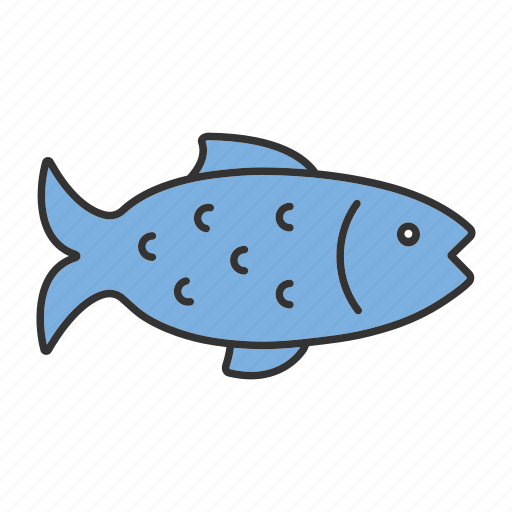 Animal, catch, fish, fishing, food, salmon, seafood icon - Download on Iconfinder