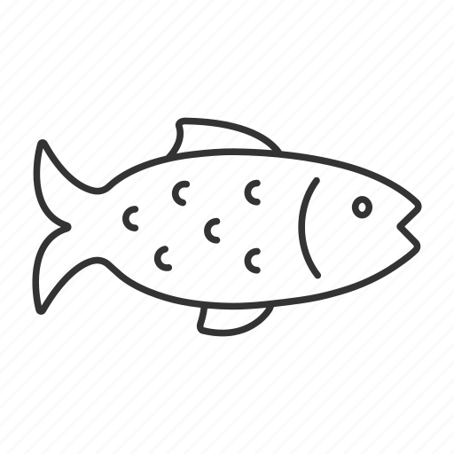 Catch, fish, fishing, food, salmon, seafood, animal icon - Download on Iconfinder