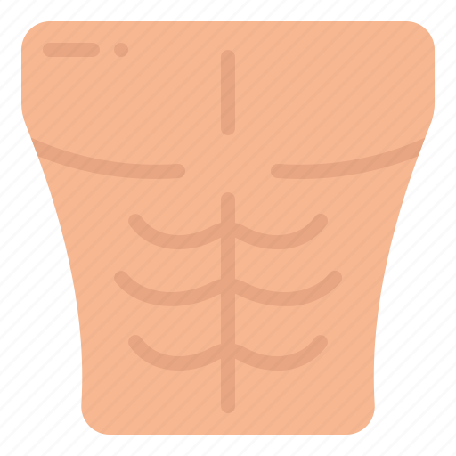 Six, pack, muscle, workout, fitness, diet, body icon - Download on Iconfinder