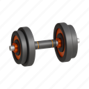 dumbell, fitness, gym, exercise, sports, workout, training 
