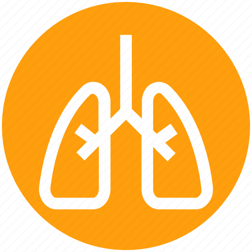 Anatomy, body, health, lung, lung cancer, lungs, organ icon - Download on Iconfinder