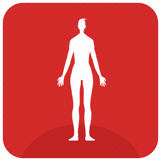 Body, figure, lady, sportsman, woman icon - Download on Iconfinder