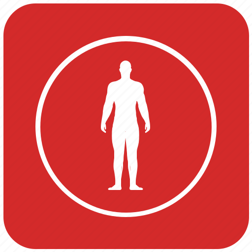 Body, figure, fit, fitness, round, slim icon - Download on Iconfinder