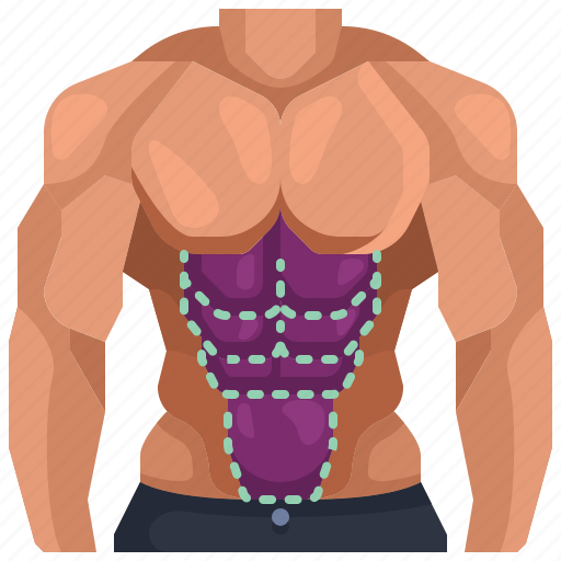 Abs, anatomy, light, muscle, muscles, waist, wellness icon - Download on Iconfinder