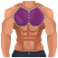 abs, bady, body, chest, fitness, muscles, part 