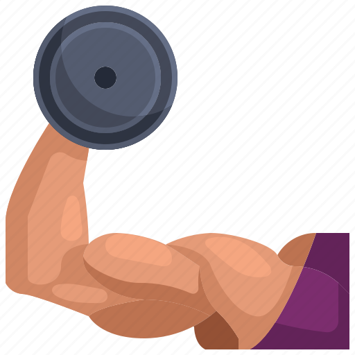Fitness, gym, muscle, muscles, strong, weightlift, weightlifter icon - Download on Iconfinder