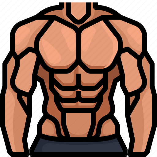 Abdominal, abdominals, and, competition, exercising, gymnasts, sports icon - Download on Iconfinder