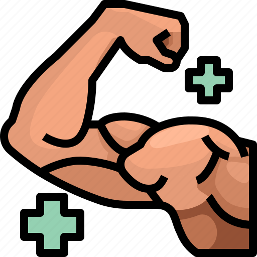 Arm, body, gym, muscle, muscles, parts, strong icon - Download on Iconfinder