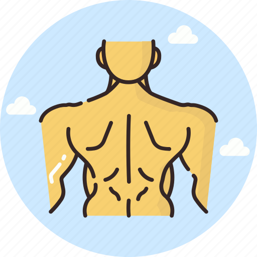 Back, exercise, fitness, gym, muscles, sports, training icon - Download on Iconfinder