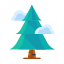 cloud, forest, plant, tree, winter 