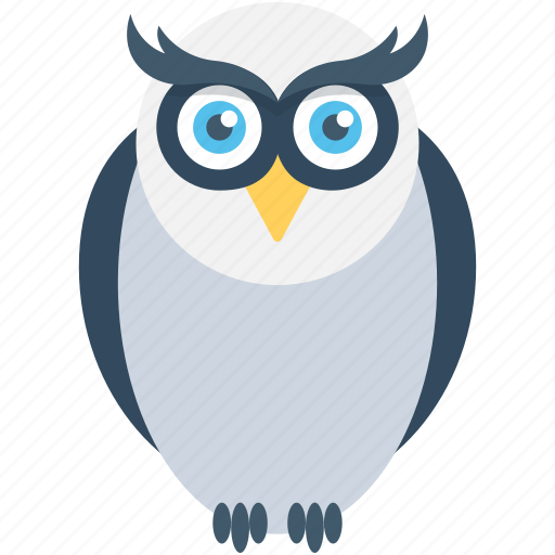 Bird, knowledge, owl, owl sage, wisdom icon - Download on Iconfinder
