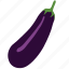 eggplant, aubergine, organic, vegetable, food, purple, vegetarian, ripe, healthy 