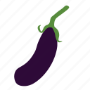 eggplant, aubergine, organic, vegetable, food, purple, vegetarian, ripe, healthy
